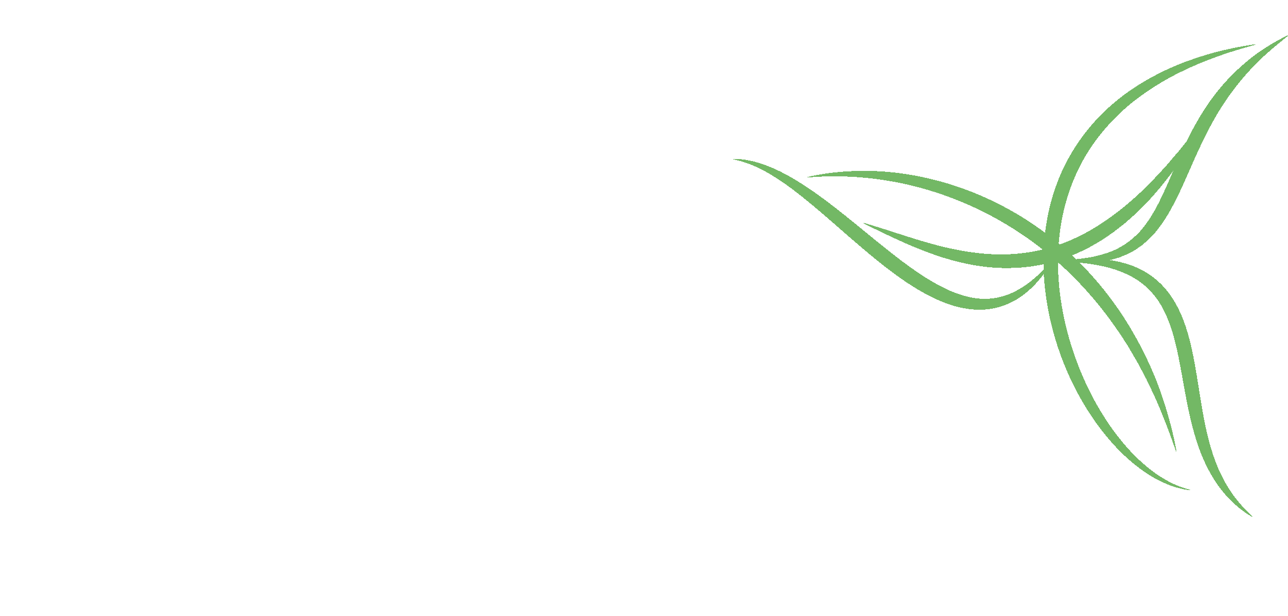 Amoroso Woodridge logo